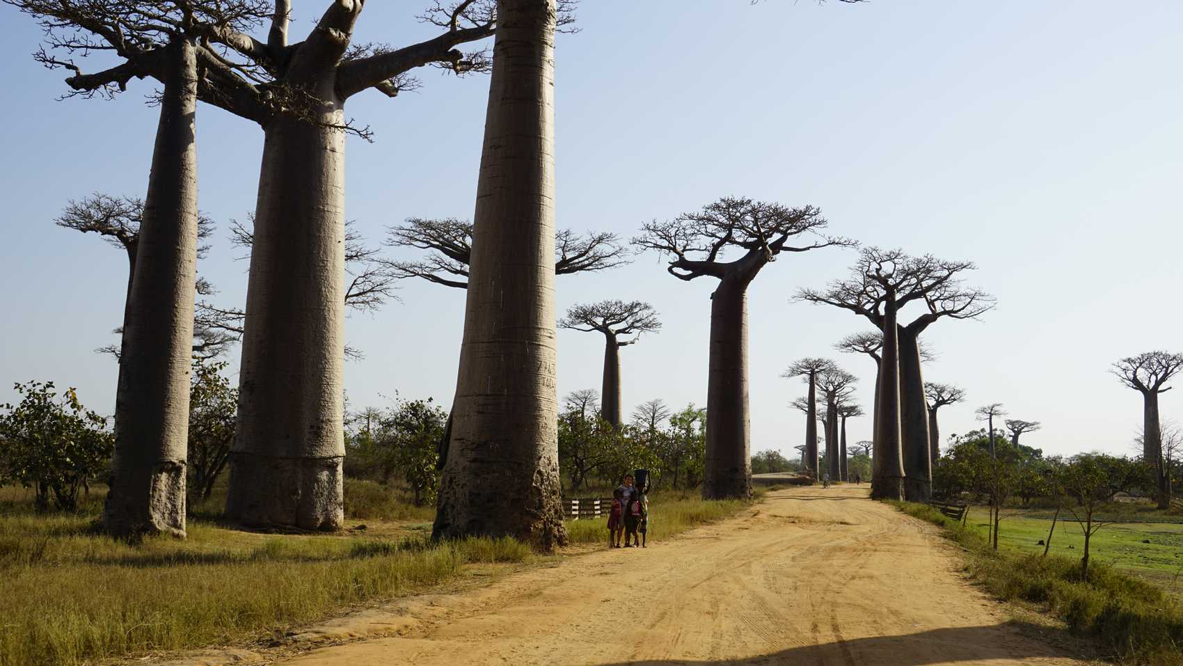 This image for Image Layouts addon