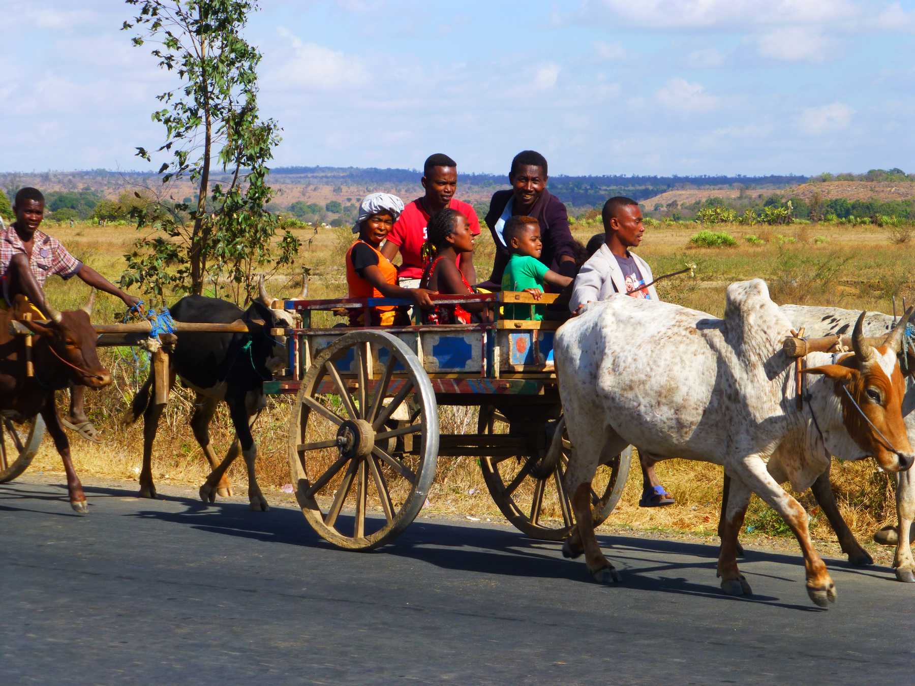 moyen-de-transport-madagascar